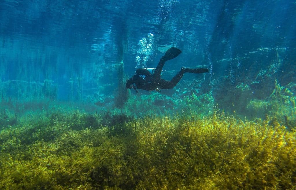 Νικιάνα Diving